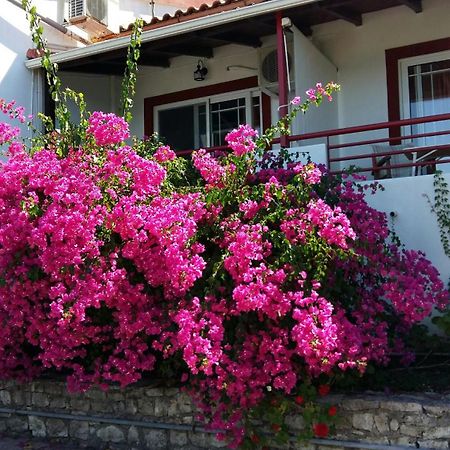 Giorgio Voo Apartments Gaios Exterior photo